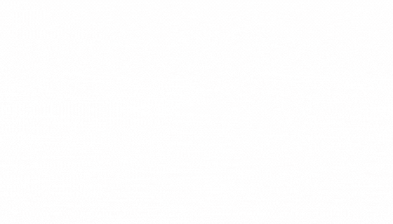 Lira Banner